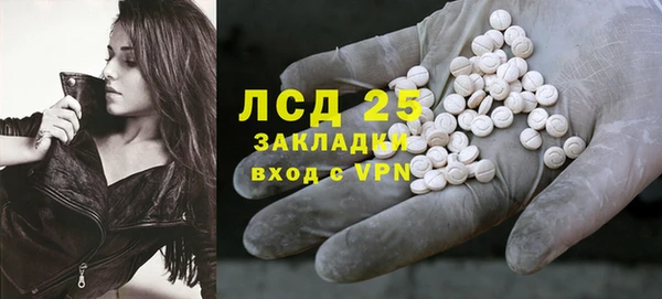 прущие грибы Баксан